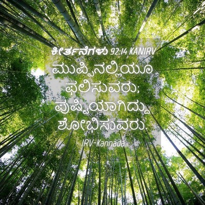Picture 04 - ಕೀರ್ತನೆಗಳು 92:14 KANIRV - ಮುಪ್ಪಿನಲ್ಲಿಯೂ - Bible Verse Picture