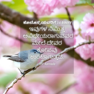 Picture 04 - ಕೊಲೊಸ್ಸೆಯವರಿಗೆ 3:6 KANIRV - ಇವುಗಳ ನಿಮಿತ್ತ - Bible Verse Picture