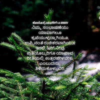 Picture 04 - ಕೊಲೊಸ್ಸೆಯವರಿಗೆ 4:6 KANIRV - ನಿಮ್ಮ ಸಂಭಾಷಣೆಯು - Bible Verse Picture