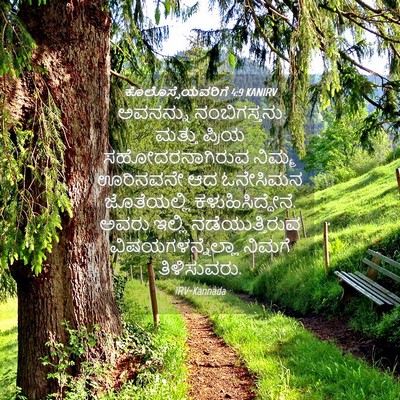 Picture 04 - ಕೊಲೊಸ್ಸೆಯವರಿಗೆ 4:9 KANIRV - ಅವನನ್ನು - Bible Verse Picture