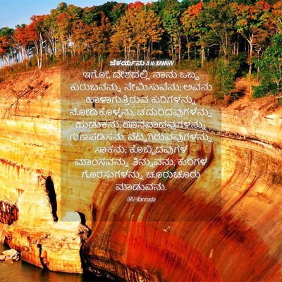 Picture 04 - ಜೆಕರ್ಯನು 11:16 KANIRV - ಇಗೋ, ದೇಶದಲ್ಲಿ ನಾನು - Bible Verse Picture