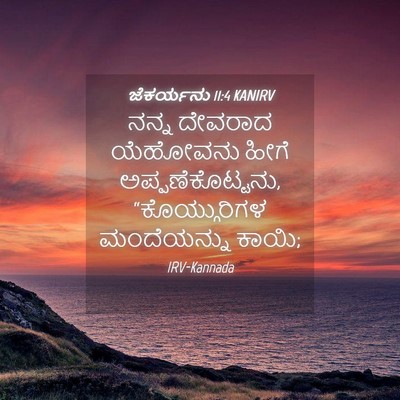 Picture 04 - ಜೆಕರ್ಯನು 11:4 KANIRV - ನನ್ನ ದೇವರಾದ - Bible Verse Picture