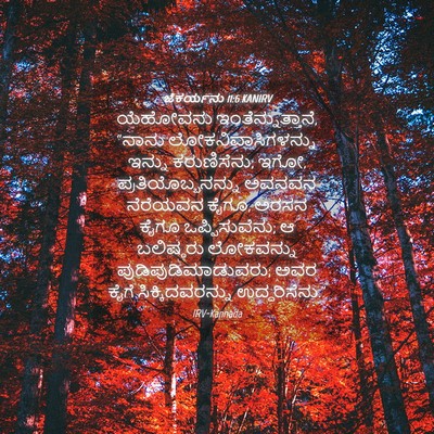 Picture 04 - ಜೆಕರ್ಯನು 11:6 KANIRV - ಯೆಹೋವನು - Bible Verse Picture