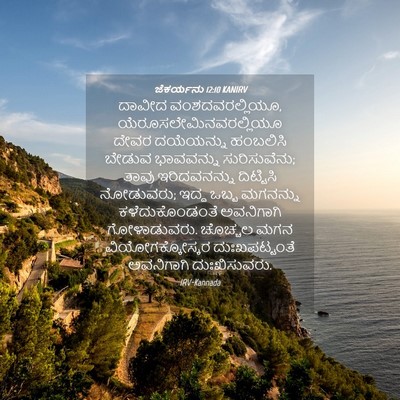 Picture 04 - ಜೆಕರ್ಯನು 12:10 KANIRV - ದಾವೀದ - Bible Verse Picture