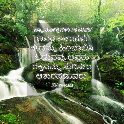 Picture 04 - ಜ್ಞಾನೋಕ್ತಿಗಳು 1:16 KANIRV - ಅವರ ಕಾಲುಗಳು - Bible Verse Picture