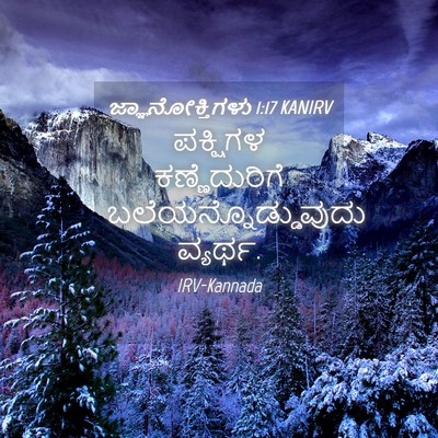 Picture 04 - ಜ್ಞಾನೋಕ್ತಿಗಳು 1:17 KANIRV - ಪಕ್ಷಿಗಳ - Bible Verse Picture