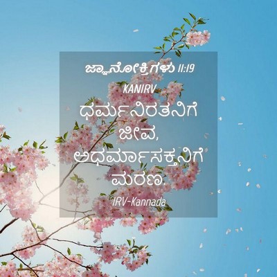 Picture 04 - ಜ್ಞಾನೋಕ್ತಿಗಳು 11:19 KANIRV - ಧರ್ಮನಿರತನಿಗೆ ಜೀವ, - Bible Verse Picture