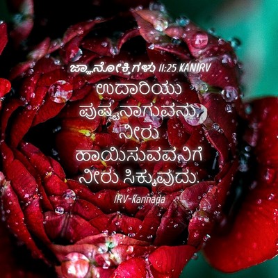 Picture 04 - ಜ್ಞಾನೋಕ್ತಿಗಳು 11:25 KANIRV - ಉದಾರಿಯು - Bible Verse Picture