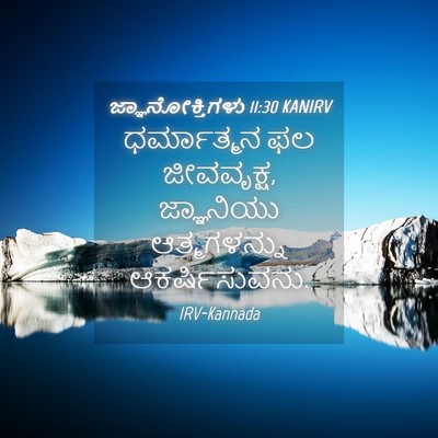 Picture 04 - ಜ್ಞಾನೋಕ್ತಿಗಳು 11:30 KANIRV - ಧರ್ಮಾತ್ಮನ ಫಲ - Bible Verse Picture