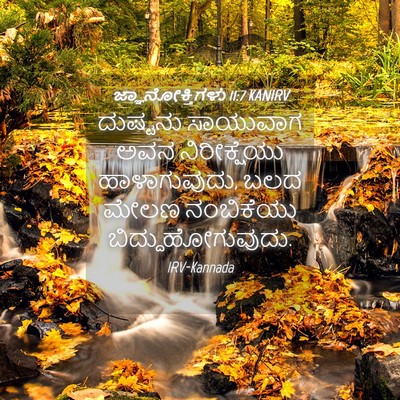 Picture 04 - ಜ್ಞಾನೋಕ್ತಿಗಳು 11:7 KANIRV - ದುಷ್ಟನು ಸಾಯುವಾಗ - Bible Verse Picture