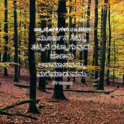 Picture 04 - ಜ್ಞಾನೋಕ್ತಿಗಳು 12:16 KANIRV - ಮೂರ್ಖನ ಸಿಟ್ಟು - Bible Verse Picture