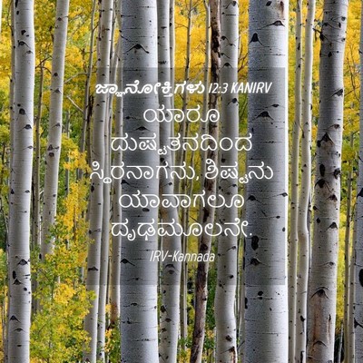 Picture 04 - ಜ್ಞಾನೋಕ್ತಿಗಳು 12:3 KANIRV - ಯಾರೂ ದುಷ್ಟತನದಿಂದ - Bible Verse Picture