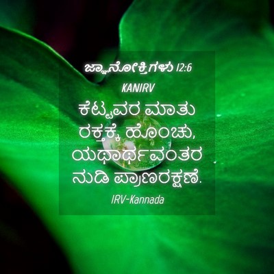 Picture 04 - ಜ್ಞಾನೋಕ್ತಿಗಳು 12:6 KANIRV - ಕೆಟ್ಟವರ ಮಾತು - Bible Verse Picture
