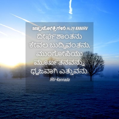 Picture 04 - ಜ್ಞಾನೋಕ್ತಿಗಳು 14:29 KANIRV - ದೀರ್ಘಶಾಂತನು ಕೇವಲ - Bible Verse Picture