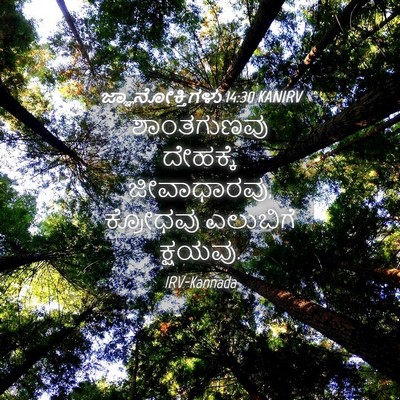 Picture 04 - ಜ್ಞಾನೋಕ್ತಿಗಳು 14:30 KANIRV - ಶಾಂತಗುಣವು ದೇಹಕ್ಕೆ - Bible Verse Picture
