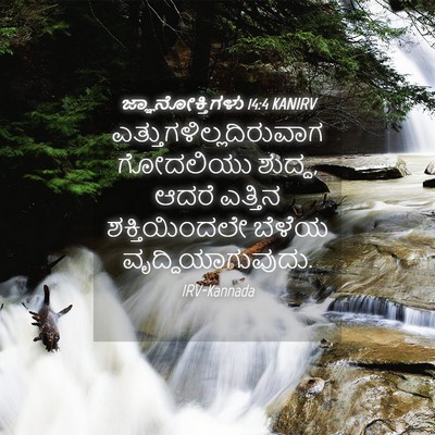 Picture 04 - ಜ್ಞಾನೋಕ್ತಿಗಳು 14:4 KANIRV -  - Bible Verse Picture