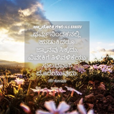 Picture 04 - ಜ್ಞಾನೋಕ್ತಿಗಳು 14:6 KANIRV - ಧರ್ಮನಿಂದಕನಲ್ಲಿ - Bible Verse Picture