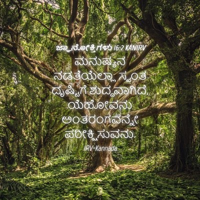 Picture 04 - ಜ್ಞಾನೋಕ್ತಿಗಳು 16:2 KANIRV - ಮನುಷ್ಯನ - Bible Verse Picture