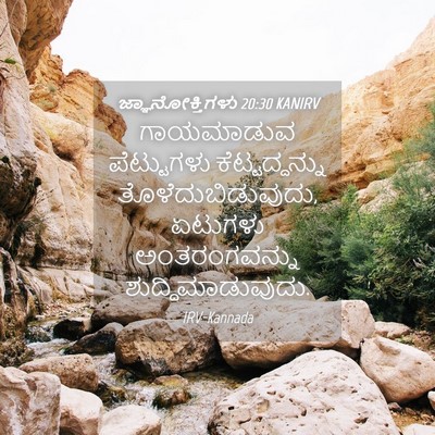 Picture 04 - ಜ್ಞಾನೋಕ್ತಿಗಳು 20:30 KANIRV - ಗಾಯಮಾಡುವ - Bible Verse Picture