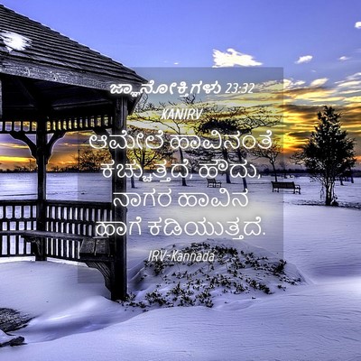 Picture 04 - ಜ್ಞಾನೋಕ್ತಿಗಳು 23:32 KANIRV - ಆಮೇಲೆ ಹಾವಿನಂತೆ - Bible Verse Picture