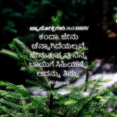 Picture 04 - ಜ್ಞಾನೋಕ್ತಿಗಳು 24:13 KANIRV - ಕಂದಾ, ಜೇನು - Bible Verse Picture