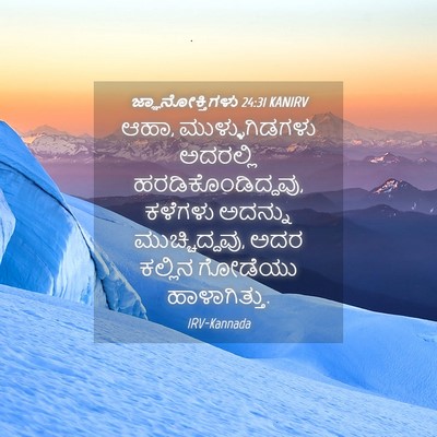 Picture 04 - ಜ್ಞಾನೋಕ್ತಿಗಳು 24:31 KANIRV - ಆಹಾ, ಮುಳ್ಳುಗಿಡಗಳು - Bible Verse Picture