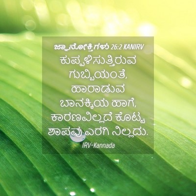 Picture 04 - ಜ್ಞಾನೋಕ್ತಿಗಳು 26:2 KANIRV - ಕುಪ್ಪಳಿಸುತ್ತಿರುವ - Bible Verse Picture