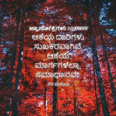 Picture 04 - ಜ್ಞಾನೋಕ್ತಿಗಳು 3:17 KANIRV - ಆಕೆಯ ದಾರಿಗಳು - Bible Verse Picture