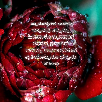 Picture 04 - ಜ್ಞಾನೋಕ್ತಿಗಳು 3:18 KANIRV - ಜ್ಞಾನವು ತನ್ನನ್ನು - Bible Verse Picture