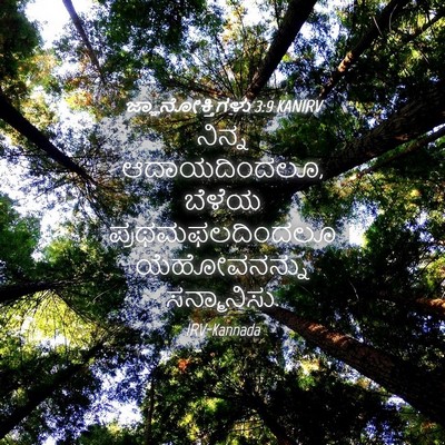 Picture 04 - ಜ್ಞಾನೋಕ್ತಿಗಳು 3:9 KANIRV - ನಿನ್ನ ಆದಾಯದಿಂದಲೂ, - Bible Verse Picture