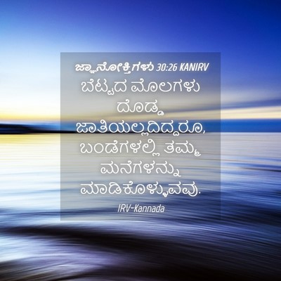 Picture 04 - ಜ್ಞಾನೋಕ್ತಿಗಳು 30:26 KANIRV - ಬೆಟ್ಟದ ಮೊಲಗಳು - Bible Verse Picture