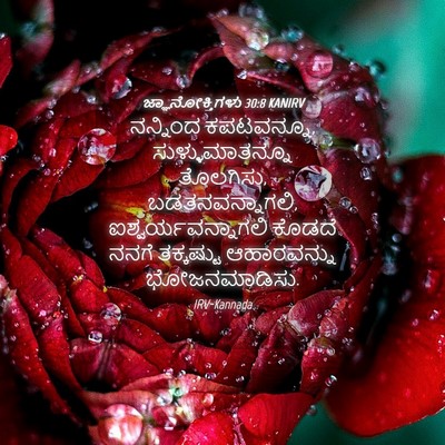 Picture 04 - ಜ್ಞಾನೋಕ್ತಿಗಳು 30:8 KANIRV - ನನ್ನಿಂದ ಕಪಟವನ್ನೂ, - Bible Verse Picture