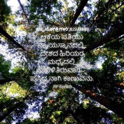 Picture 04 - ಜ್ಞಾನೋಕ್ತಿಗಳು 31:23 KANIRV - ಆಕೆಯ ಪತಿಯು - Bible Verse Picture