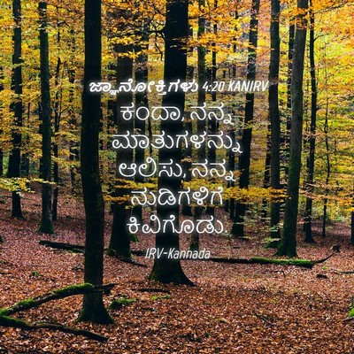 Picture 04 - ಜ್ಞಾನೋಕ್ತಿಗಳು 4:20 KANIRV - ಕಂದಾ, ನನ್ನ - Bible Verse Picture