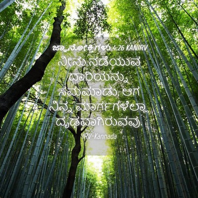Picture 04 - ಜ್ಞಾನೋಕ್ತಿಗಳು 4:26 KANIRV - ನೀನು ನಡೆಯುವ - Bible Verse Picture