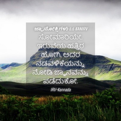 Picture 04 - ಜ್ಞಾನೋಕ್ತಿಗಳು 6:6 KANIRV - ಸೋಮಾರಿಯೇ, ಇರುವೆಯ - Bible Verse Picture