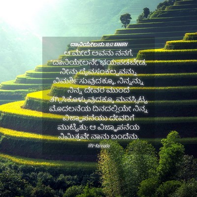 Picture 04 - ದಾನಿಯೇಲನು 10:12 KANIRV - ಆ ಮೇಲೆ ಅವನು ನನಗೆ, - Bible Verse Picture