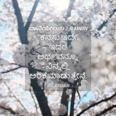Picture 04 - ದಾನಿಯೇಲನು 2:36 KANIRV - “ಕನಸು ಇದೇ; ಇದರ - Bible Verse Picture