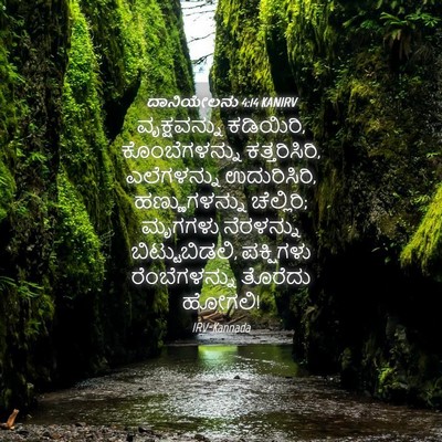 Picture 04 - ದಾನಿಯೇಲನು 4:14 KANIRV - ವೃಕ್ಷವನ್ನು - Bible Verse Picture