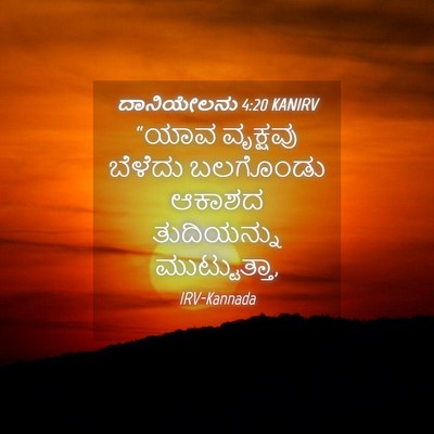 Picture 04 - ದಾನಿಯೇಲನು 4:20 KANIRV - “ಯಾವ ವೃಕ್ಷವು - Bible Verse Picture