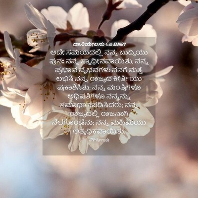 Picture 04 - ದಾನಿಯೇಲನು 4:36 KANIRV - ಅದೇ ಸಮಯದಲ್ಲಿ ನನ್ನ - Bible Verse Picture
