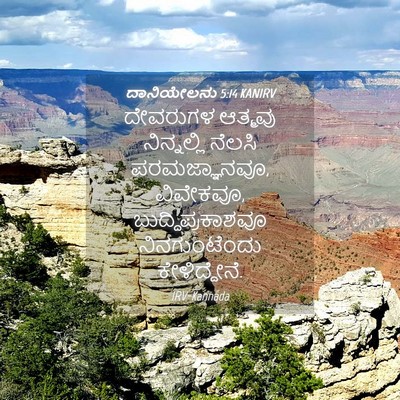 Picture 04 - ದಾನಿಯೇಲನು 5:14 KANIRV - ದೇವರುಗಳ ಆತ್ಮವು - Bible Verse Picture
