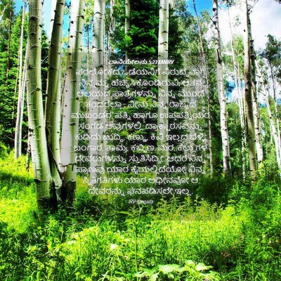 Picture 04 - ದಾನಿಯೇಲನು 5:23 KANIRV - ಪರಲೋಕದ ಒಡೆಯನಿಗೆ - Bible Verse Picture