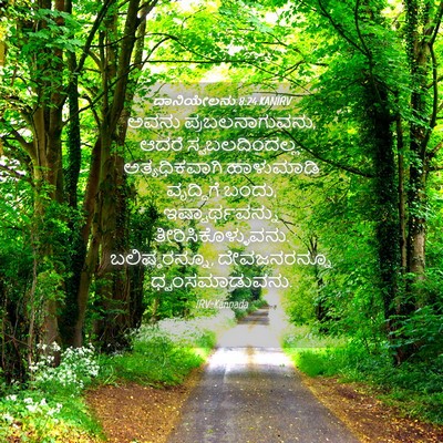 Picture 04 - ದಾನಿಯೇಲನು 8:24 KANIRV - ಅವನು - Bible Verse Picture