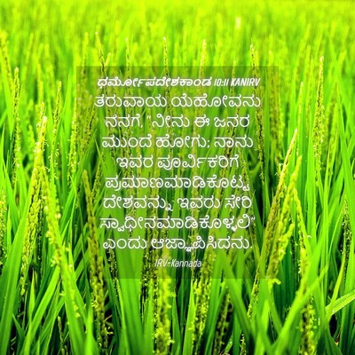 Picture 04 - ಧರ್ಮೋಪದೇಶಕಾಂಡ 10:11 KANIRV - ತರುವಾಯ ಯೆಹೋವನು - Bible Verse Picture