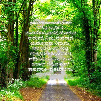 Picture 04 - ಧರ್ಮೋಪದೇಶಕಾಂಡ 11:29 KANIRV - ನೀವು ಸ್ವಾಧೀನ - Bible Verse Picture