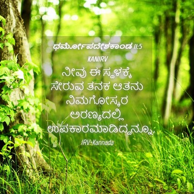 Picture 04 - ಧರ್ಮೋಪದೇಶಕಾಂಡ 11:5 KANIRV - ನೀವು ಈ ಸ್ಥಳಕ್ಕೆ - Bible Verse Picture