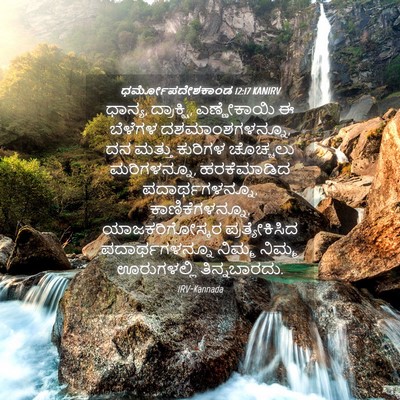 Picture 04 - ಧರ್ಮೋಪದೇಶಕಾಂಡ 12:17 KANIRV - ಧಾನ್ಯ, ದ್ರಾಕ್ಷಿ, - Bible Verse Picture