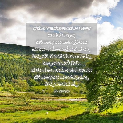 Picture 04 - ಧರ್ಮೋಪದೇಶಕಾಂಡ 12:23 KANIRV - ಆದರೆ ರಕ್ತವು - Bible Verse Picture