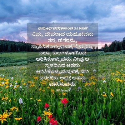 Picture 04 - ಧರ್ಮೋಪದೇಶಕಾಂಡ 12:5 KANIRV - ನಿಮ್ಮ ದೇವರಾದ - Bible Verse Picture
